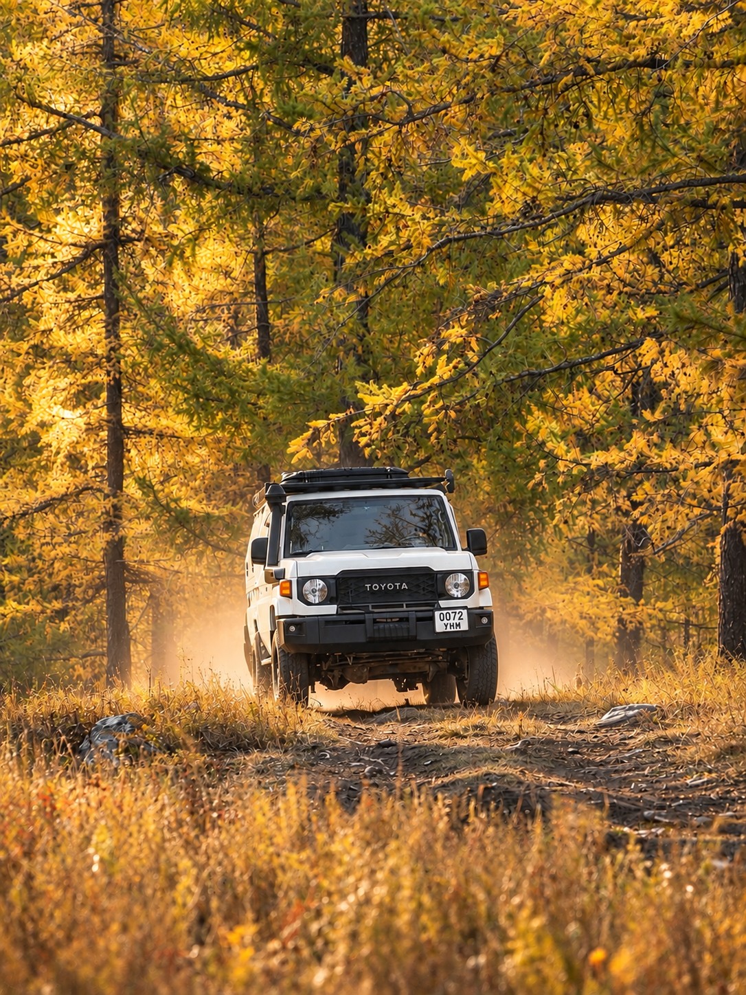 Toyota Land Cruiser 79 beneath golden autumn trees in Mongolia